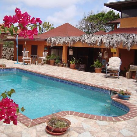 Fuego Mio Bed & Breakfast Santa Cruz Екстер'єр фото