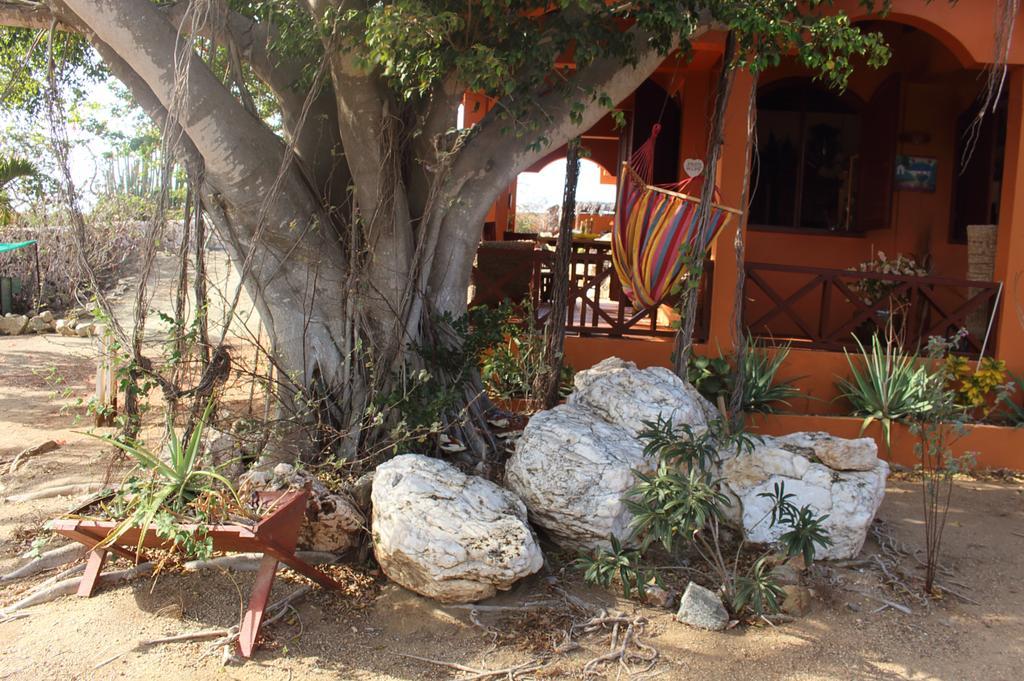 Fuego Mio Bed & Breakfast Santa Cruz Екстер'єр фото