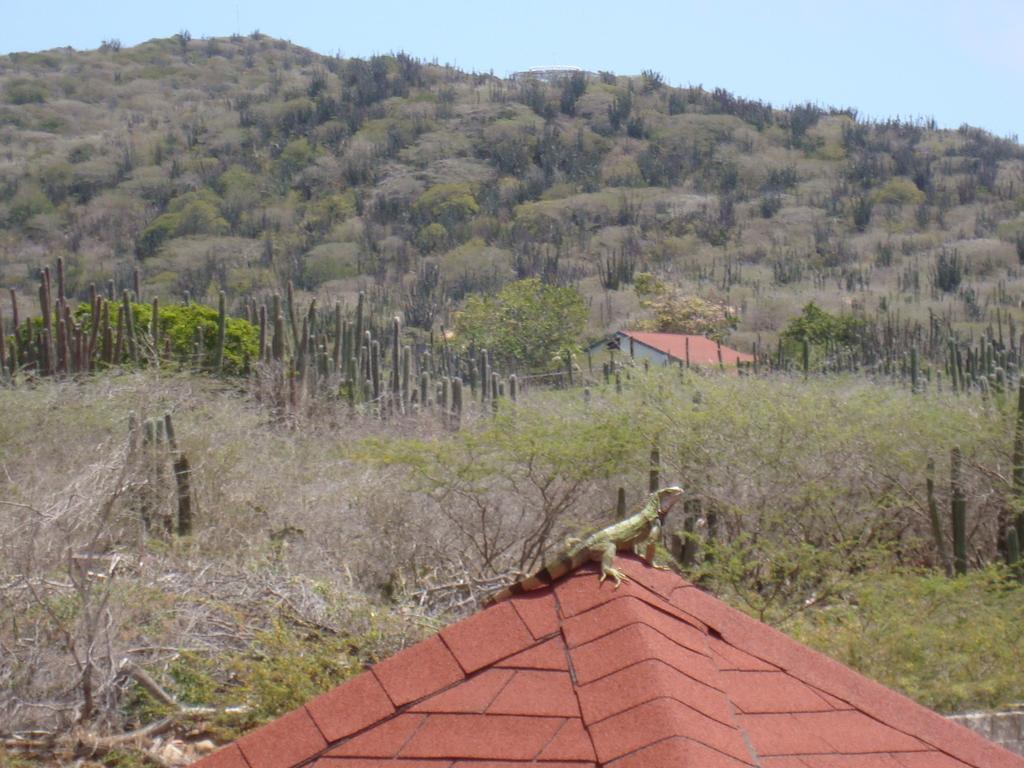 Fuego Mio Bed & Breakfast Santa Cruz Екстер'єр фото