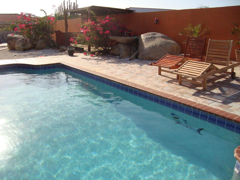 Fuego Mio Bed & Breakfast Santa Cruz Екстер'єр фото
