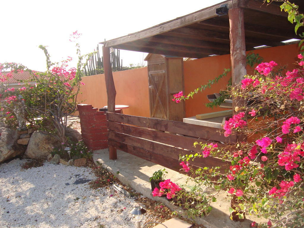 Fuego Mio Bed & Breakfast Santa Cruz Екстер'єр фото