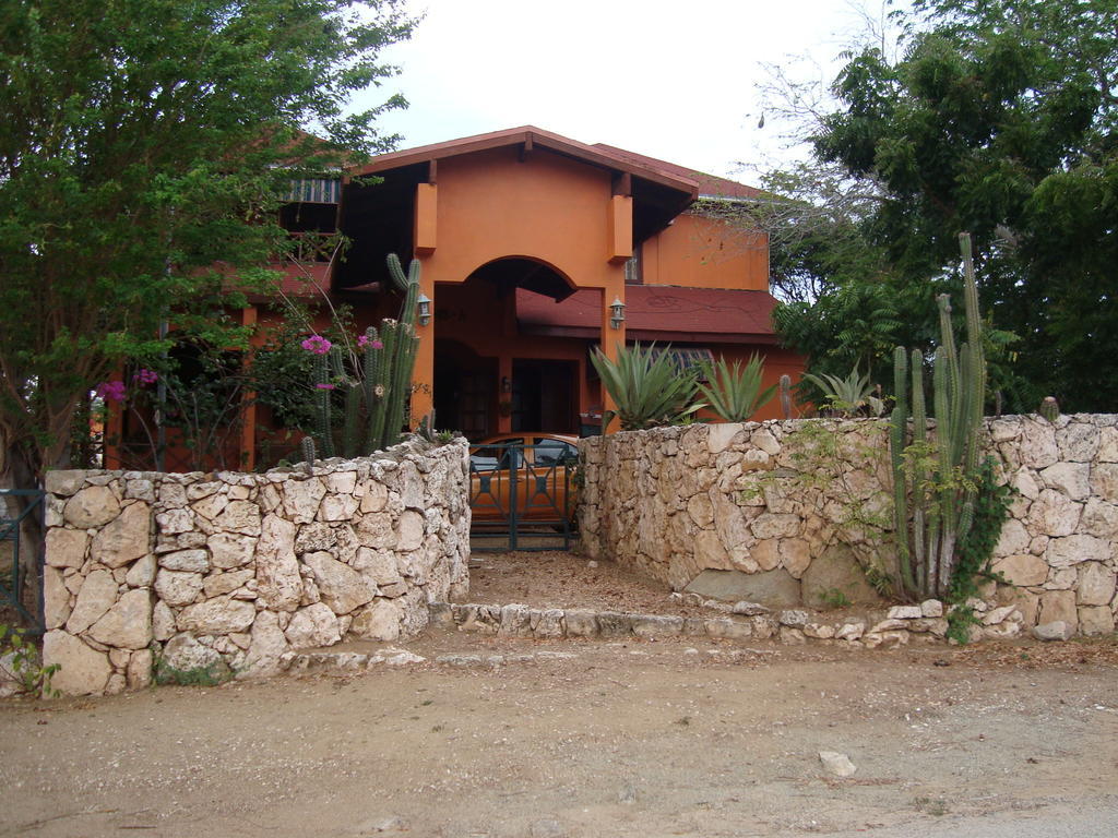 Fuego Mio Bed & Breakfast Santa Cruz Екстер'єр фото