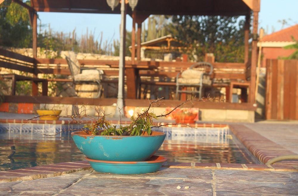 Fuego Mio Bed & Breakfast Santa Cruz Екстер'єр фото