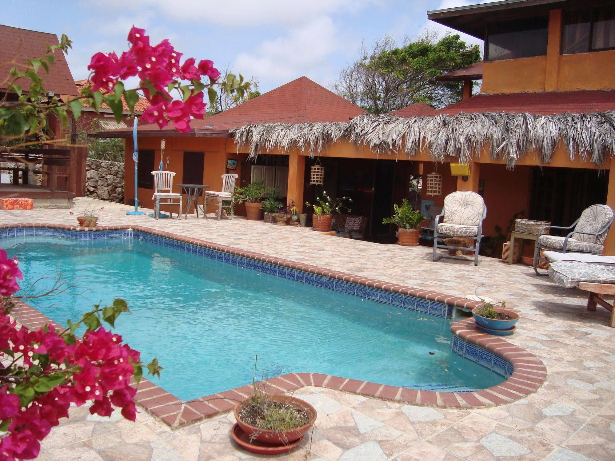 Fuego Mio Bed & Breakfast Santa Cruz Екстер'єр фото