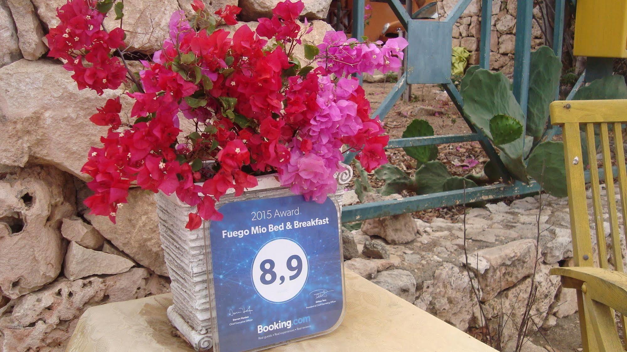 Fuego Mio Bed & Breakfast Santa Cruz Екстер'єр фото