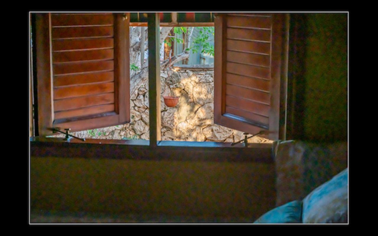Fuego Mio Bed & Breakfast Santa Cruz Екстер'єр фото